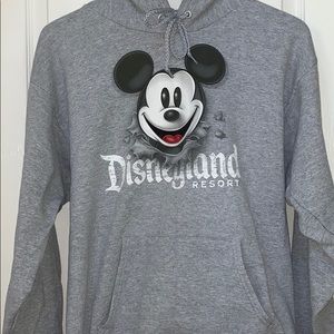 Grey Walt Disneyworld Sweatshirt